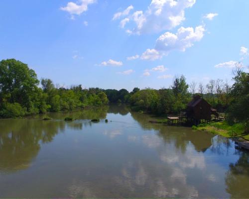 Malý Dunaj - Fotogaléria