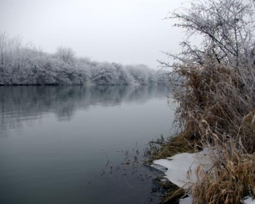 Malý Dunaj - Fotogaléria