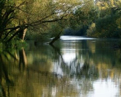 Malý Dunaj - Fotogaléria